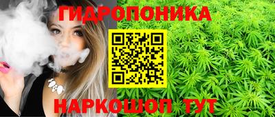 мяу мяу мука Коммунар