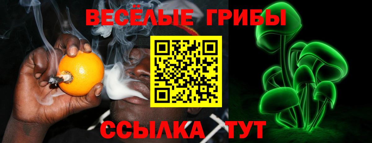 Псилоцибиновые грибы Cubensis  Псилоцибиновые грибы Psilocybe  Вход с VPN  дарнет шоп  Арзамас 